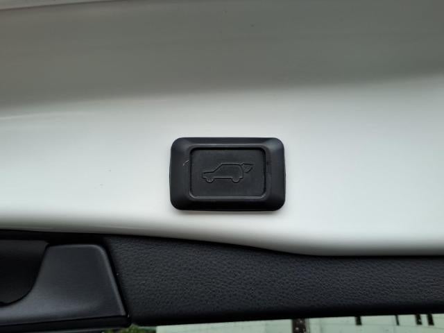 2019 Toyota RAV4 XLE AWD (Natl)