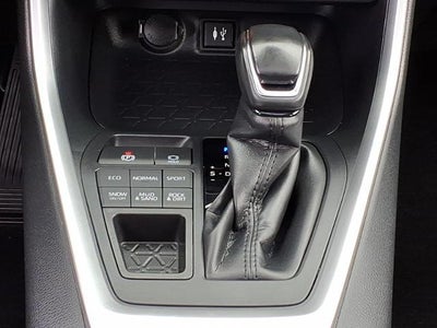 2019 Toyota RAV4 XLE AWD (Natl)