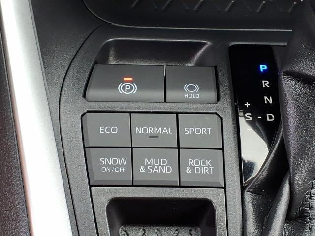 2019 Toyota RAV4 XLE AWD (Natl)